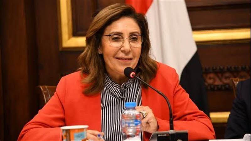 نيفين الكيلانيي وزيرة
