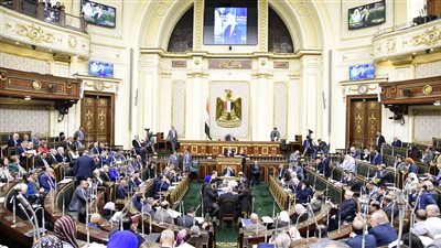 تدريس مبادئ الاستراتيجية الوطنية لحقوق الإنسان بجدول أعمال لجان النواب