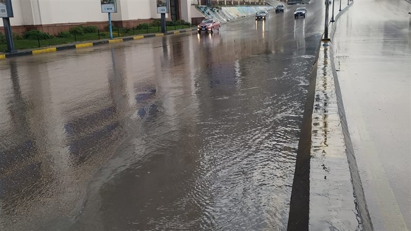 الإسكندرية،فيتو