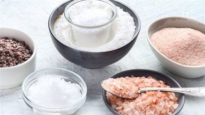 بدائل الملح، فيتو