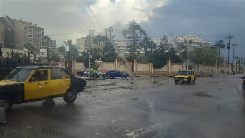الإسكندرية، فيتو