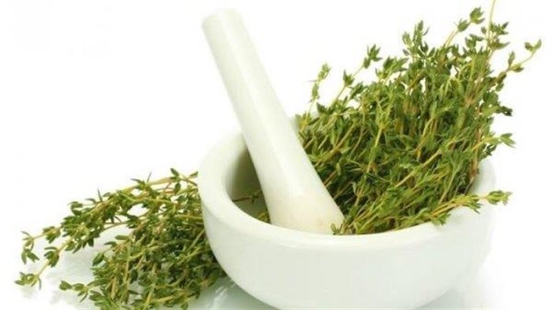 فوائد الزعتر، فيتو