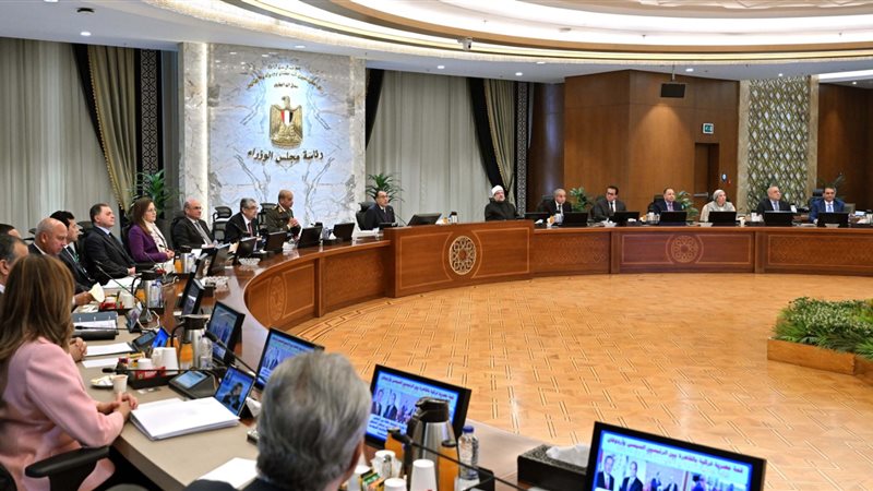  مجلس الوزراء،فيتو
