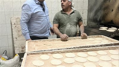 تحرير 14 محضرا لمخابز مخالفة بالقليوبية 