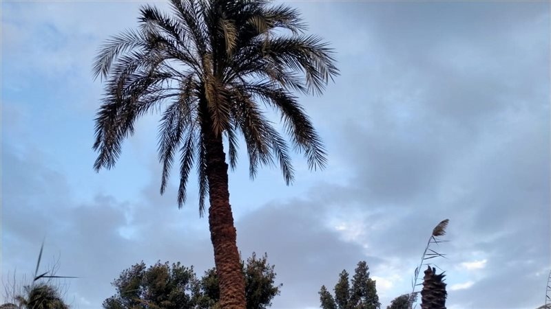 سقوط أمطار خفيفة