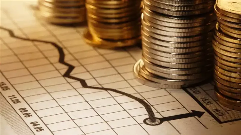 الاستثمارات الأجنبية،فيتو