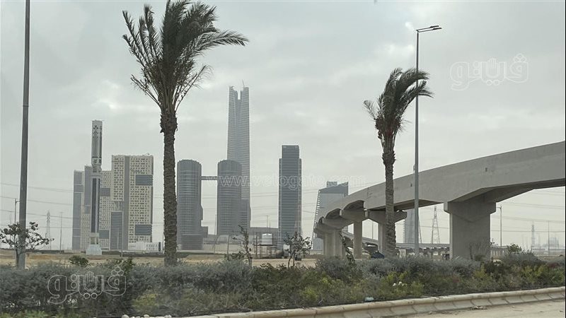 حالة الطقس غدا، فيتو