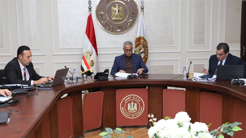 حسن شحاتة وزير العمل،فيتو