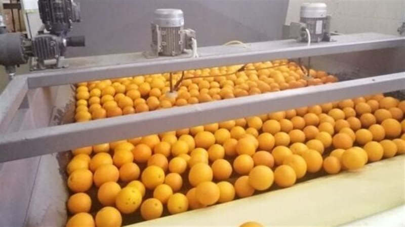 محطات تصدير الموالح