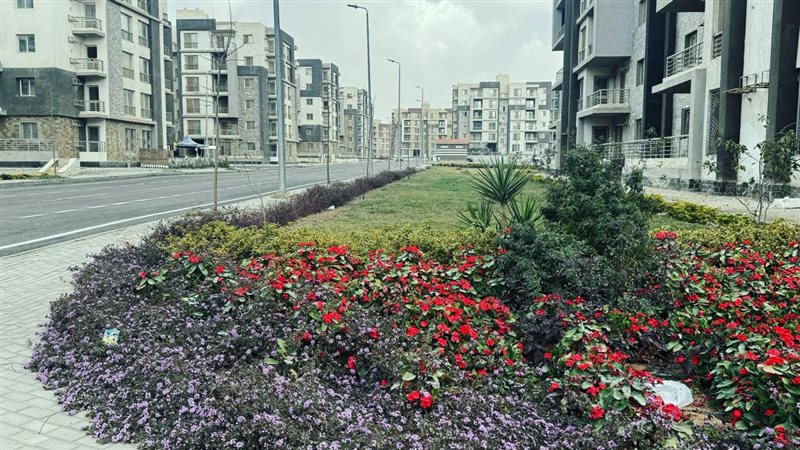 شقق الإسكان 