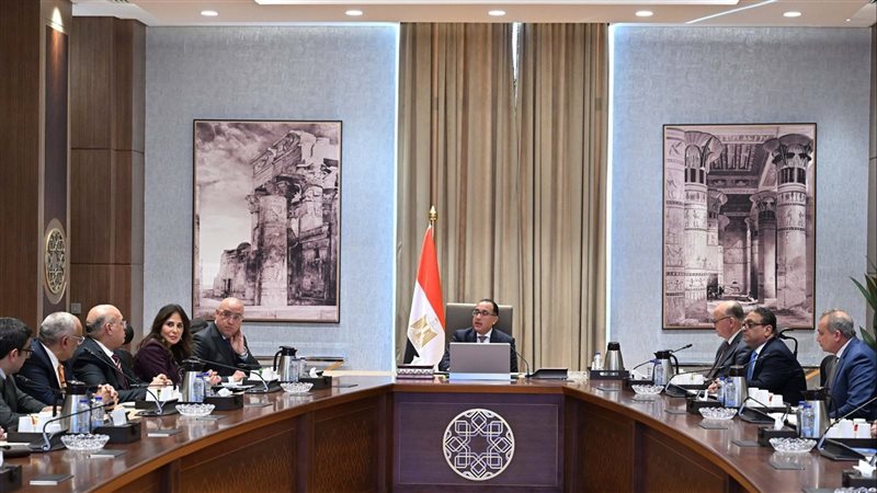 مجلس الوزراء، فيتو