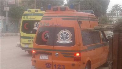 تفاصيل مقتل سيدة على يد حفيدها في الزيتون 
