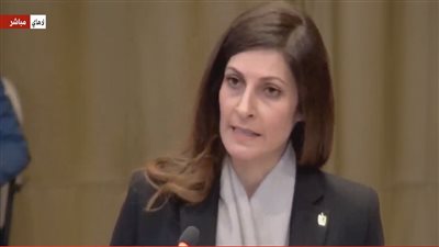 ياسمين موسى أمام العدل الدولية: مصر تندد بالقيود الإسرائيلية المفروضة على الفلسطينيين (فيديو) 