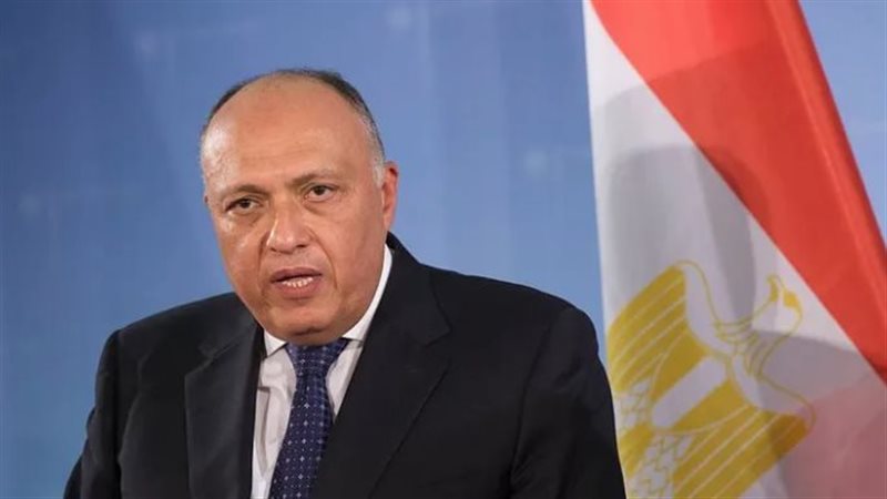 سامح شكري، فيتو