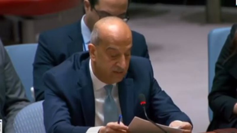 مندوب مصر بمجلس الأمن،