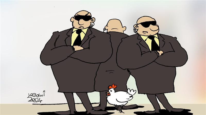 أما تشتري فرخة اليومين
