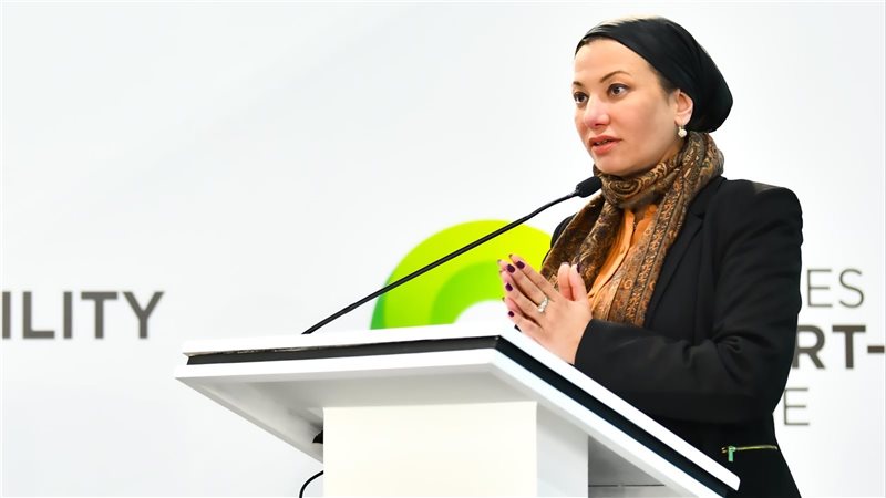 الدكتورة ياسمين فؤاد