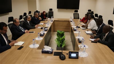 وزير الكهرباء: مصر تتمتع بثراء واضح في مصادر الطاقات المتجددة