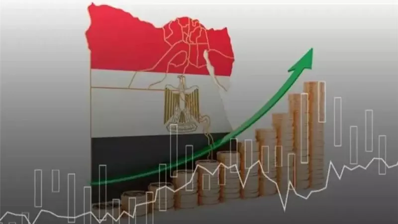 الاقتصاد المصري،فيتو