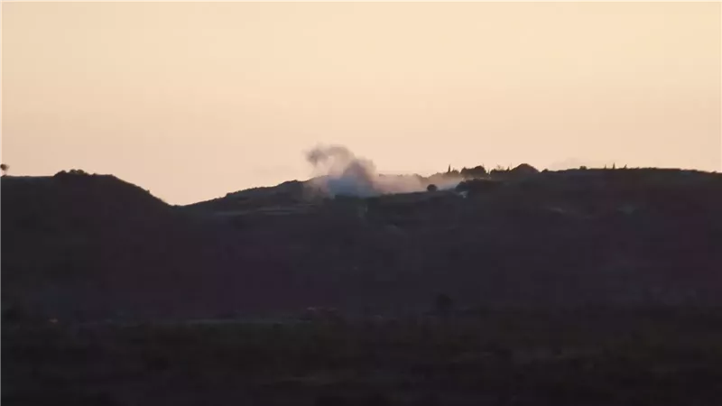 جنوب لبنان، فيتو