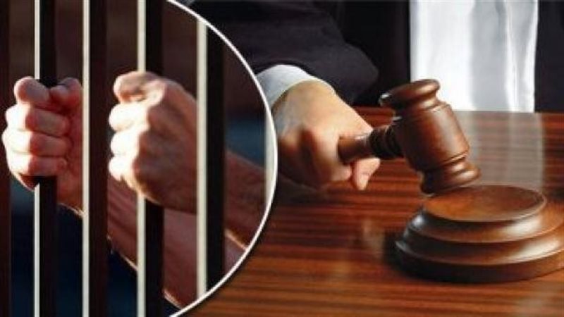ضوابط رفع الدعوى