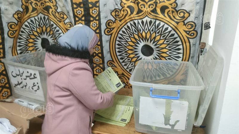 صناديق الاقتراع بورسعيد،فيتو