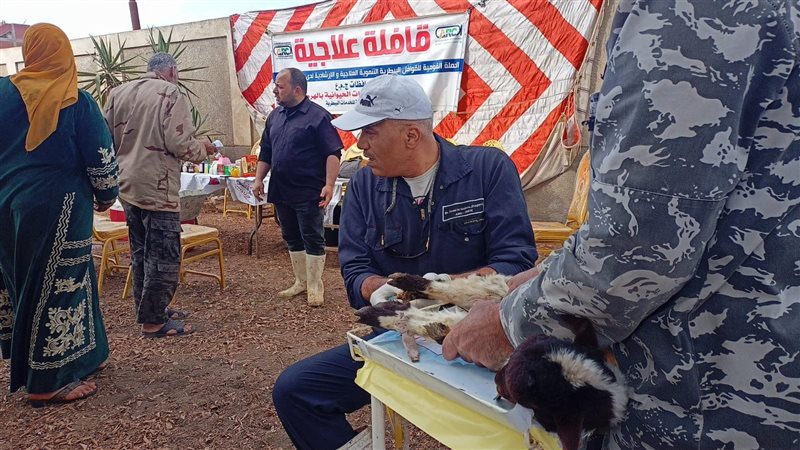 قافلة بيطرية بمحافظة