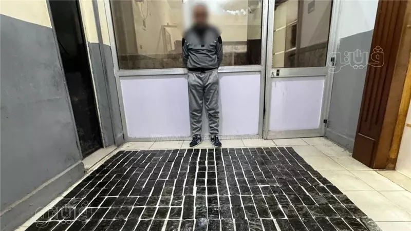 حبس عنصر اجرامى،