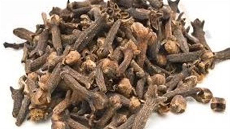 تفسير رؤية القرنفل