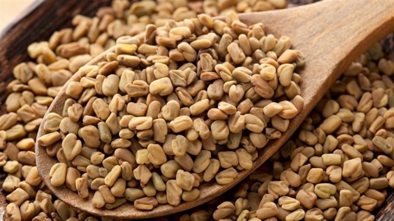 فوائد الحلبة، فيتو