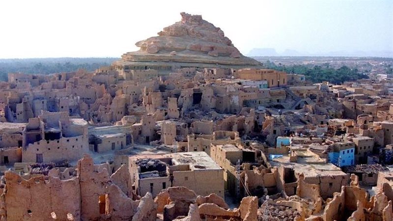 واحة سيوة، فيتو