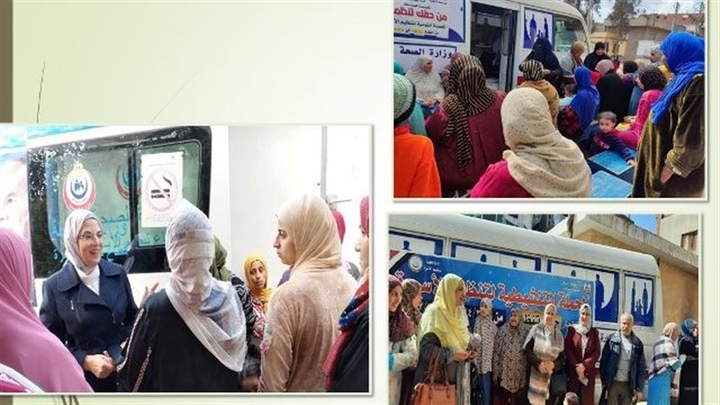 تقديم خدمات تنظيم