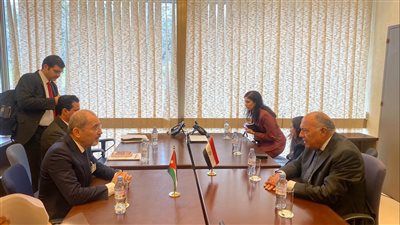 وزير الخارجية: تدهور الأوضاع الميدانية في غزة والضفة الغربية يُهدد بتفجُر الأوضاع