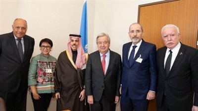 بيان عربي إسلامي مشترك يدعو إلى ضرورة الوقف الفوري والتام لإطلاق النار في غزة 
