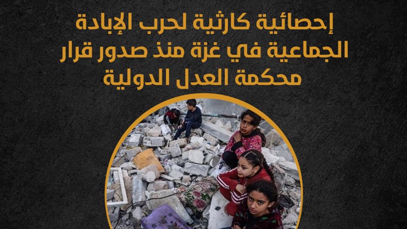 غزة، فيتو