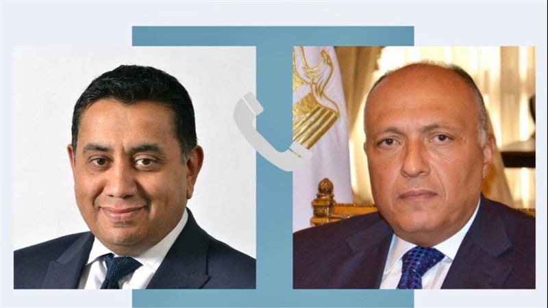 سامح شكرى وزير الخارجية