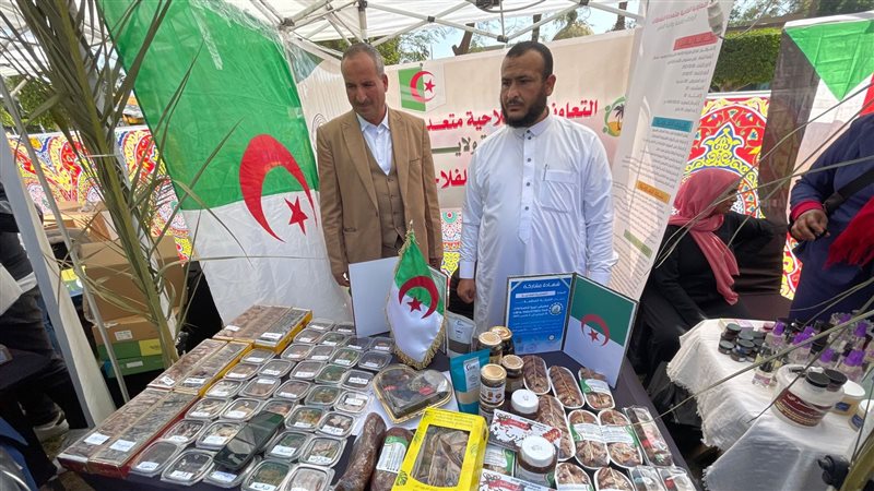مهرجان القاهرة الدولي