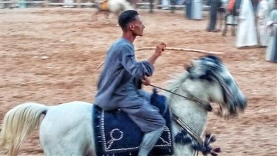 المرماح.. سباقات الخيل أبرز مظاهر احتفال أهالي الأقصر بالمولد النبوي | صور