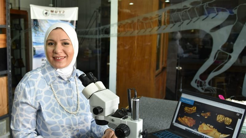 اكتشاف حفريات جديده