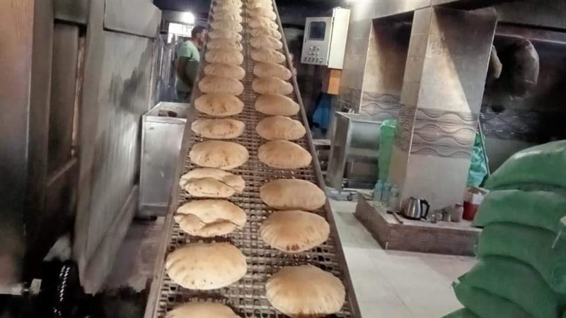 حملات تموينية بالدقهلية