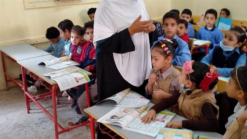 مدارس الدقهلية 