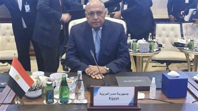 مصر تضع خارطة طريق من 4 بنود أمام المجتمع الدولي لدعم الاستقرار في ليبيا