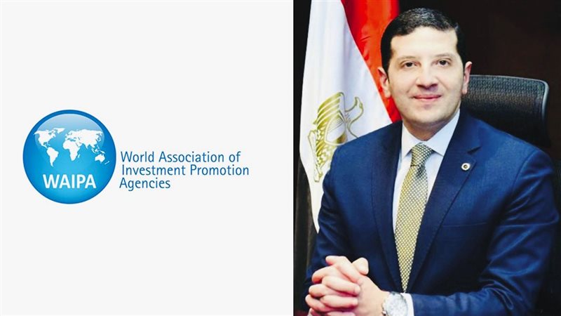 المستشار محمد عبد