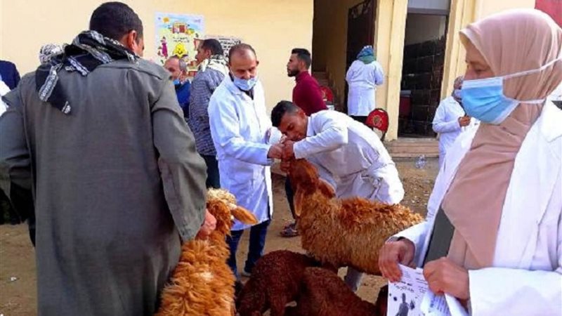 قافلة بيطرية في الشرقية