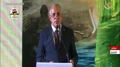 وزير الري: مصر وضعت خطة لتوفير الموارد المائية بتكلفة تصل لـ 100 مليار دولار 