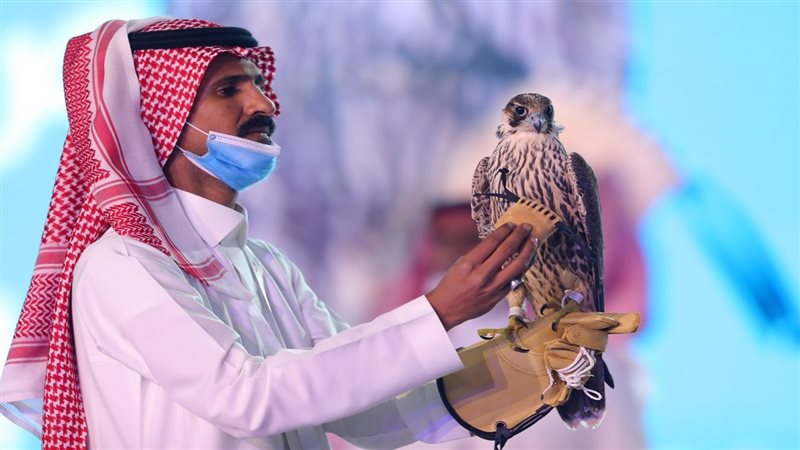 بيع صقر نادر في مزاد