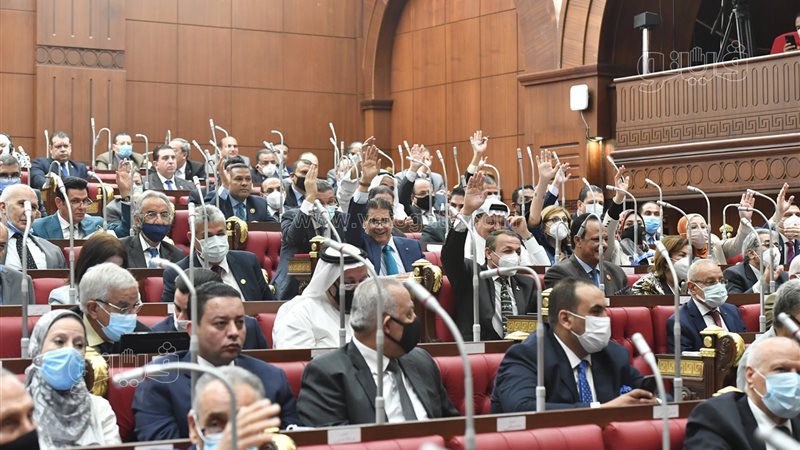 مجلس الشيوخ، فيتو