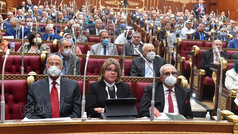 مجلس الشيوخ، فيتو