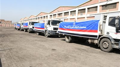 معلومات الوزراء: الأوقاف سلمت أهالي غزة 20 طنا من السلع الغذائية 