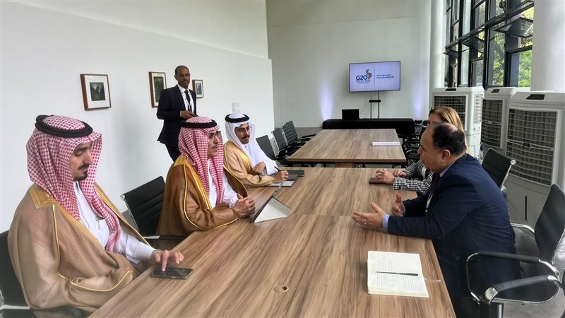 لقاء وزير المالية